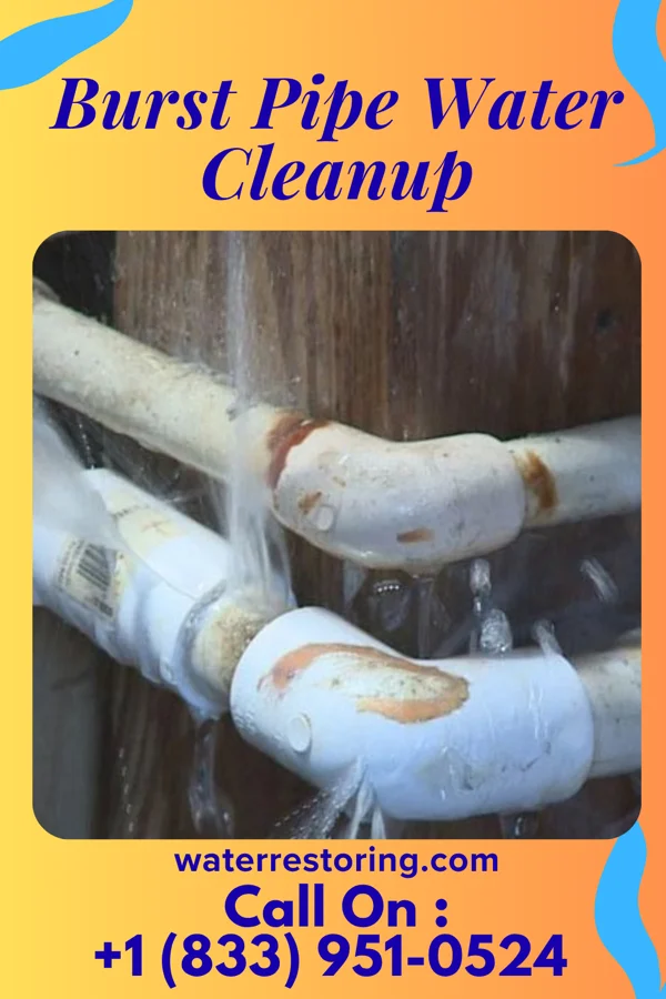 Burst Pipe Water Cleanup in Fountain City, WI