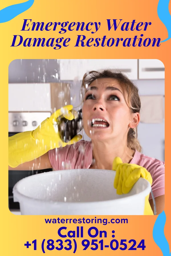Emergency Water Damage Restoration in Fountain City, WI