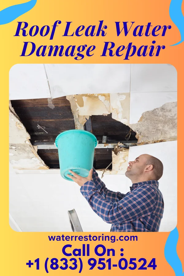 Roof Leak Water Damage Repair in Fountain City, WI