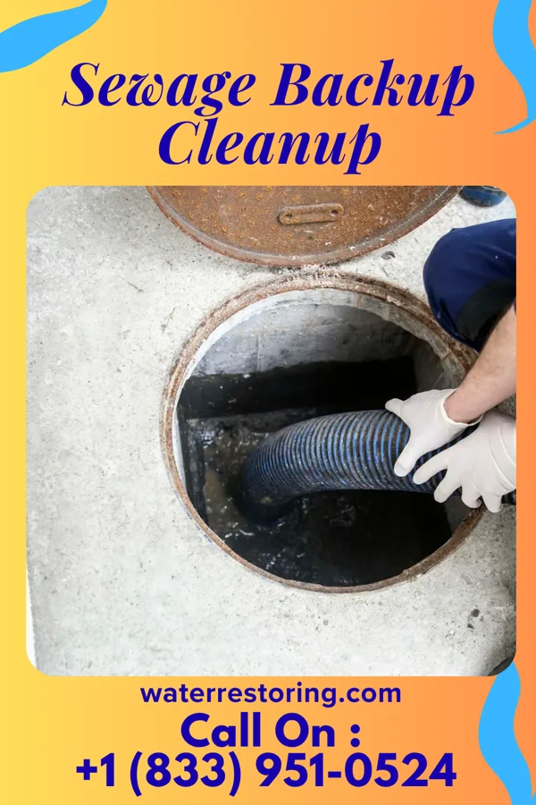 Sewage Backup Cleanup in Fountain City, WI